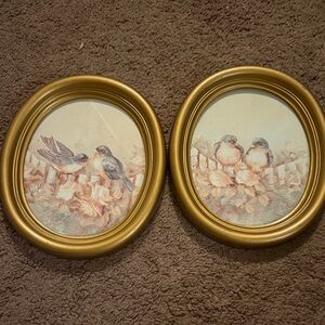 Gold Framed Bird Art Prints